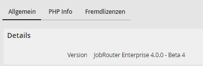 Systeminformationen – Allgemein, Abschnitt Details