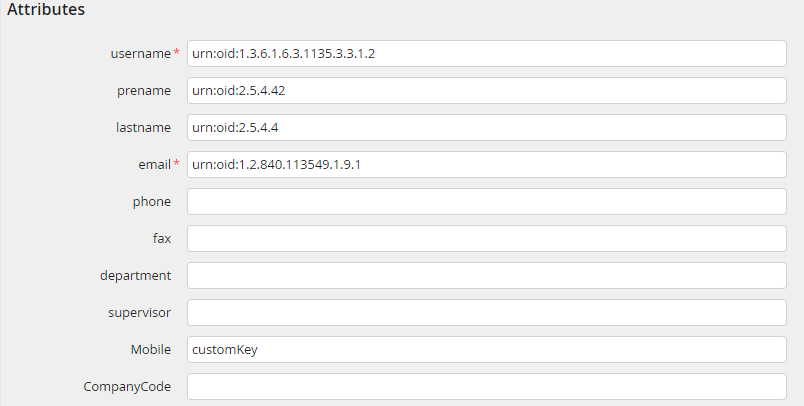 Attribute mappings